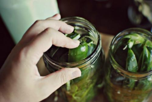 Можно ли солить горькие огурцы. Что делать с горькими огурцами