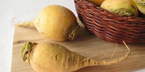 Репа вредна. Полезные свойства