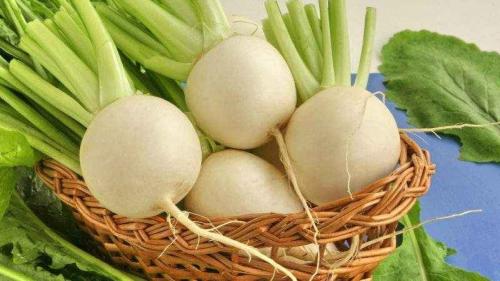 Репа польза для женщин. Польза и возможный вред репы для организма женщины