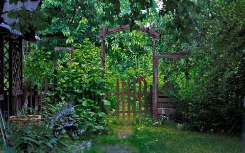 Как создать красивый сад в тени: выбор растений 02 Как создать красивый сад в тени: выбор растений 02