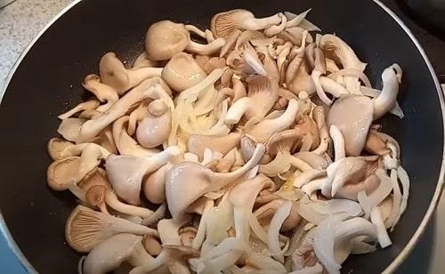 Как приготовить грибы вешенки вкусно на сковороде. Вешенки с луком, жареные на сковороде — 6 вкусных рецептов