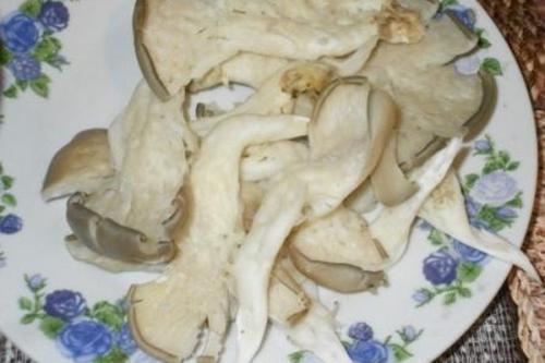 Как приготовить вешенки в кляре. Вешенки в кляре: интересные рецепты