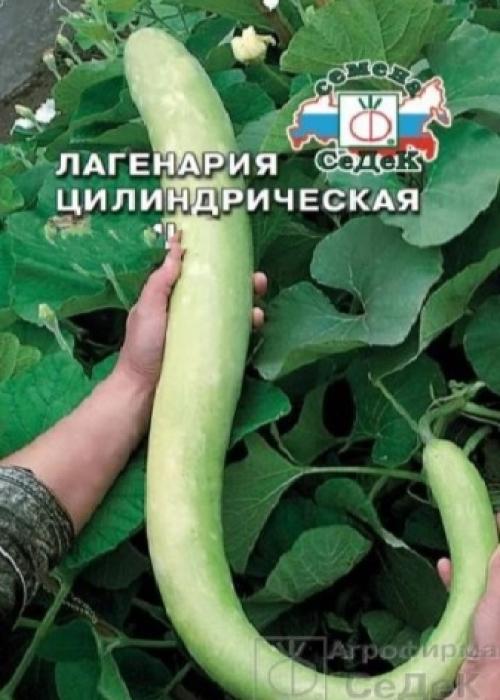 Какие бывают тыквы по цвету. Ботаническое описание 14