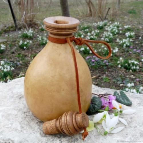 Какие бывают тыквы по цвету. Ботаническое описание 09