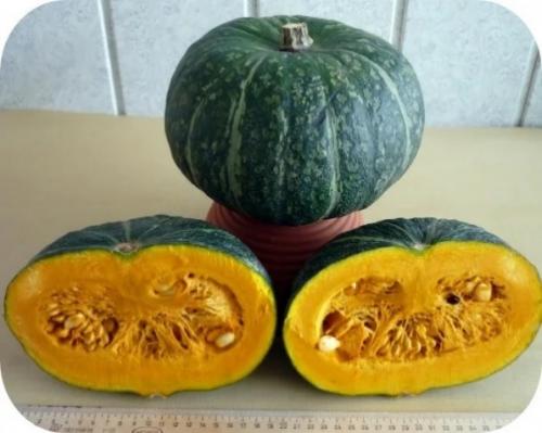 Подмосковные особенности выращивания тыквы: советы и рекомендации 03 Подмосковные особенности выращивания тыквы: советы и рекомендации 03