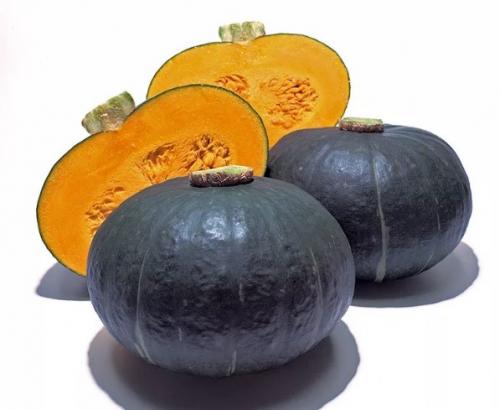 Подмосковные особенности выращивания тыквы: советы и рекомендации 04 Подмосковные особенности выращивания тыквы: советы и рекомендации 04