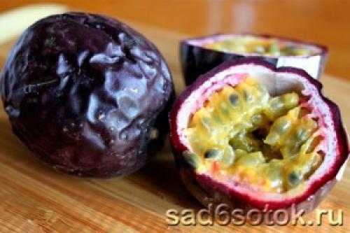 Какие фруктовые и ягодные культуры наиболее подходят для выращивания в теплице