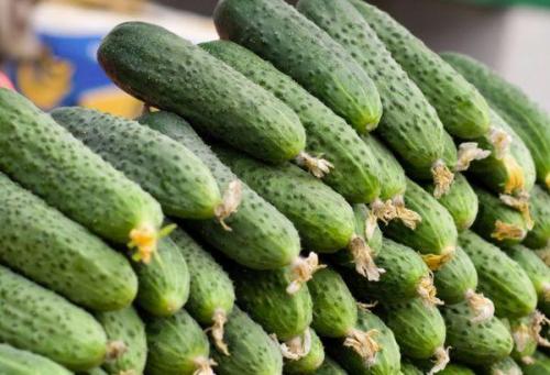 ТОП-30 самых лучших сортов огурцов. ТОП 30 лучших видов детерминантных сортов огурцов с описанием