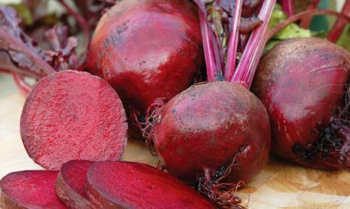 Какие овощи лучше всего выращивать на тенистых участках