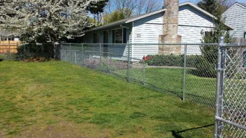 Лучший забор для дачного участка. Лучшие заборы для дачи: критерии выбора забора, особенности материалов изготовления оград + фото лучших конструкций