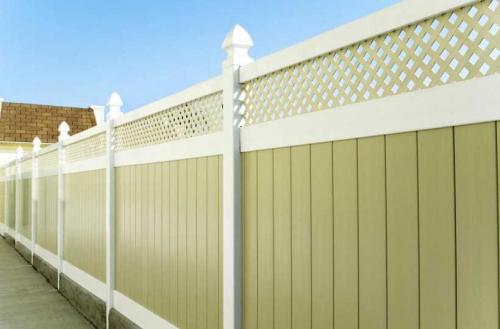 Лучший забор для дачного участка. Лучшие заборы для дачи: критерии выбора забора, особенности материалов изготовления оград + фото лучших конструкций