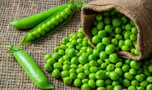 Что такое теневыносливые овощи и зелень