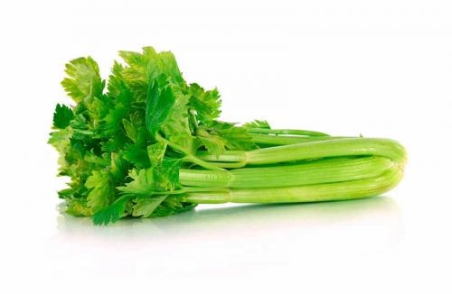 Что такое теневыносливые овощи и зелень