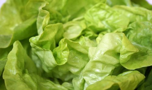 Растения для тени: топ 10 овощей, которые будут расти даже в тёмном уголке 08 Растения для тени: топ 10 овощей, которые будут расти даже в тёмном уголке 08