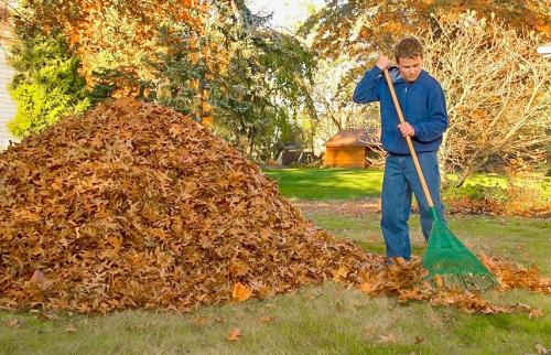 Осенняя обработка от вредителей. Осенняя обработка сада: эффективные приемы против болезней и вредителей