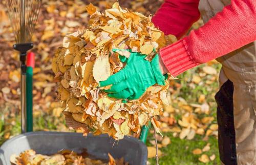 Осенняя обработка от вредителей. Осенняя обработка сада: эффективные приемы против болезней и вредителей