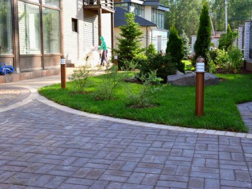 Когда сажать деревья осенью и как правильно это делать. Посадка и пересадка деревьев осенью: рекомендации опытных садоводов