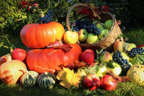 Посадка саженцев плодовых деревьев осенью. Добавление статьи в новую подборку 02 Посадка саженцев плодовых деревьев осенью. Добавление статьи в новую подборку 02