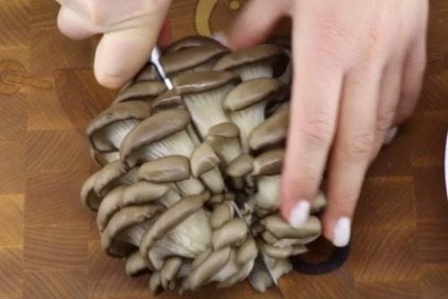 Сколько варить вешенки в супе. Грибной суп с вешенками — самые вкусные рецепты