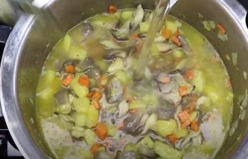 Сколько варить вешенки в супе. Грибной суп с вешенками — самые вкусные рецепты