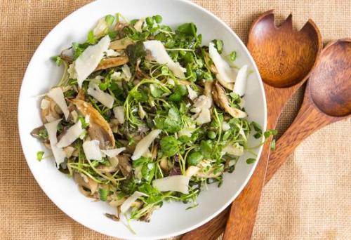 Сколько времени нужно варить вешенки. Тонкости приготовления вешек