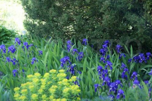 Что такое затененный участок