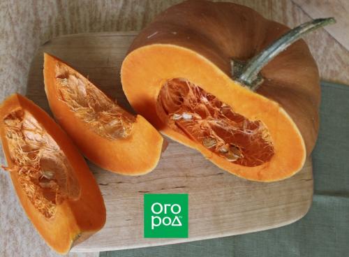 Время для сборки: когда убирать тыквы на хранение и как добавить их в блюда 07