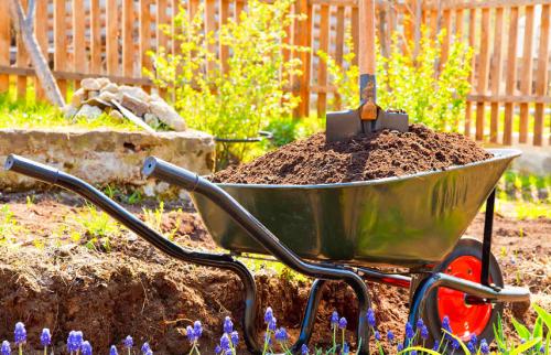 Чем удобрить землю перед посадкой. Подкормка весной – виды удобрений для сада и огорода