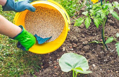 Чем удобрить землю перед посадкой. Подкормка весной – виды удобрений для сада и огорода