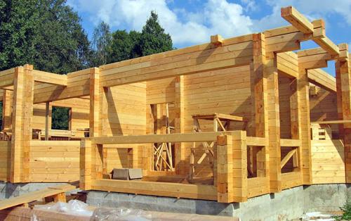 Строительство дачного дома своими руками. Этап первый: выбор площади, этажности и материала