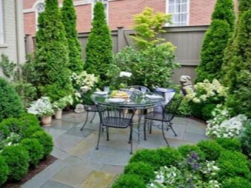 Когда сажать хвойники и плодовые деревья. Какие хвойные растения выбрать для сада 03