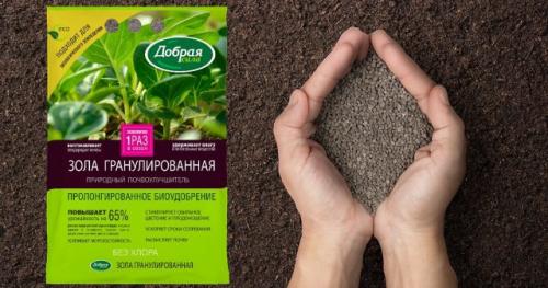 Какие работы необходимо выполнять в плодовом саду осенью