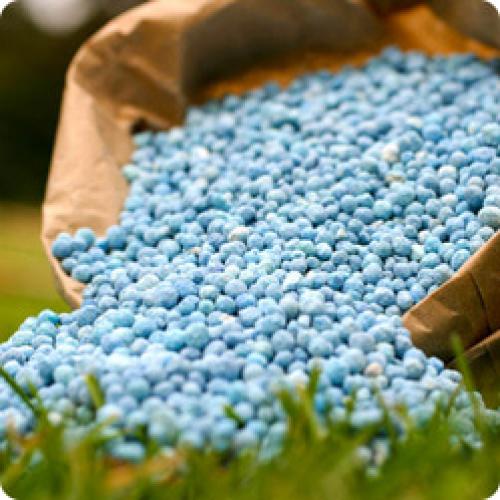 Как готовить плодовый сад к зиме. КАК ПОДГОТОВИТЬ САД К ЗИМЕ