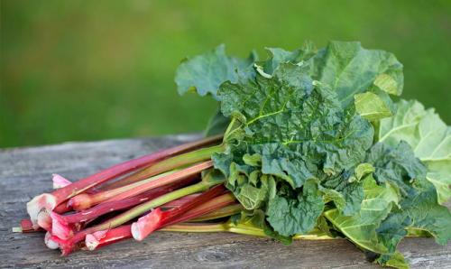 Скрытые сокровища вашего огорода: тенелюбивые овощи 01 Скрытые сокровища вашего огорода: тенелюбивые овощи 01