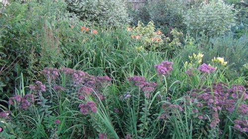 Подготовка плодового сада к зиме: основные работы и рекомендации 27 Подготовка плодового сада к зиме: основные работы и рекомендации 27