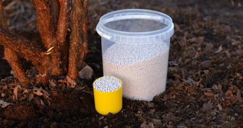 Как правильно удобрять плодовые деревья осенью. Какими удобрениями подкармливать плодовые деревья осенью