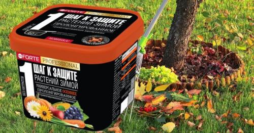 Как правильно удобрять плодовые деревья осенью. Какими удобрениями подкармливать плодовые деревья осенью