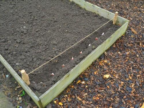 Подготовка грядок осенью. Как осенью подготовить грядки