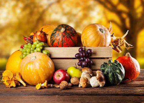 5 главных правил осенней посадки деревьев и кустарников. Не все растения сажаются осенью 05