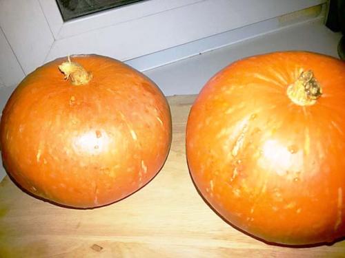 Как понять, что тыква готова в духовке. Тыква, запеченная в духовке: 7 вкусных рецептов