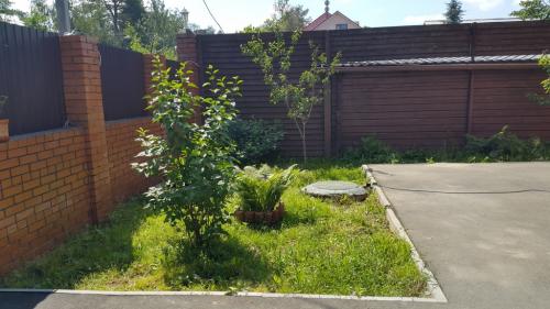 Осень - идеальное время для посадки плодовых деревьев и ягодных кустарников 11 Осень - идеальное время для посадки плодовых деревьев и ягодных кустарников 11