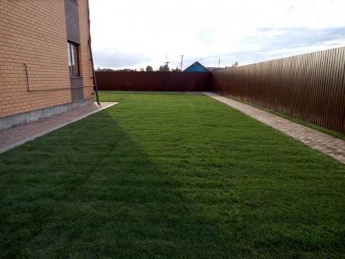 Осень - идеальное время для посадки плодовых деревьев и ягодных кустарников 14 Осень - идеальное время для посадки плодовых деревьев и ягодных кустарников 14