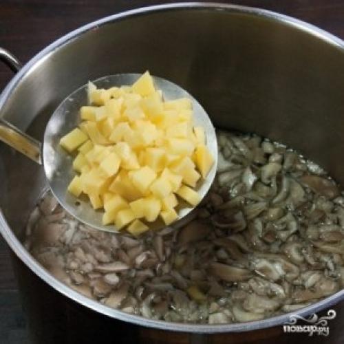 Сколько варить вешенки в супе. Суп из вешенок