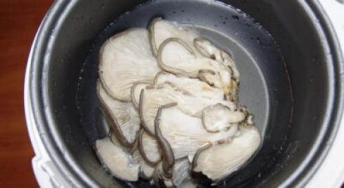 Сколько варить вешенки до готовности. Как варить вешенки: сколько времени готовить