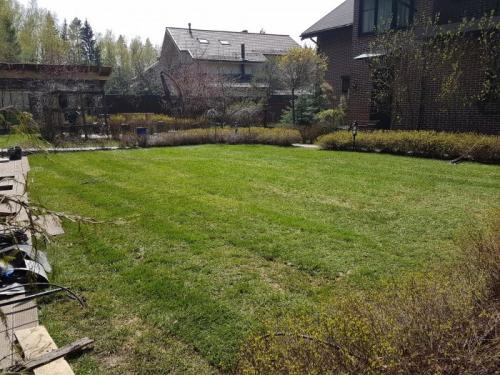 Какие условия необходимо создать для правильной посадки деревьев и кустарников