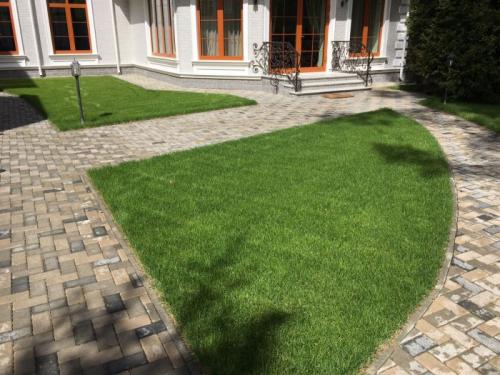 Какие условия необходимо создать для правильной посадки деревьев и кустарников