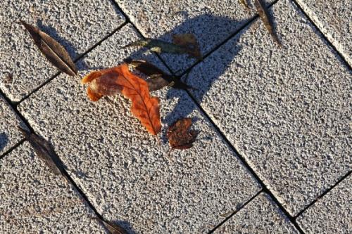 Какая тротуарная Плитка лучше вибролитая или вибропрессованная форум. Потребительские свойства вибролитой и вибропрессованной плитки