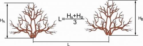 Улучшай свой сад: основы посадки деревьев и кустарников 01