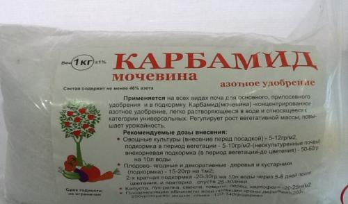 Подкормка ремонтантной малины ранней весной. Когда удобрять малину весной: оптимальные сроки и схема