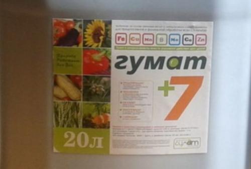 Подкормка ремонтантной малины ранней весной. Когда удобрять малину весной: оптимальные сроки и схема